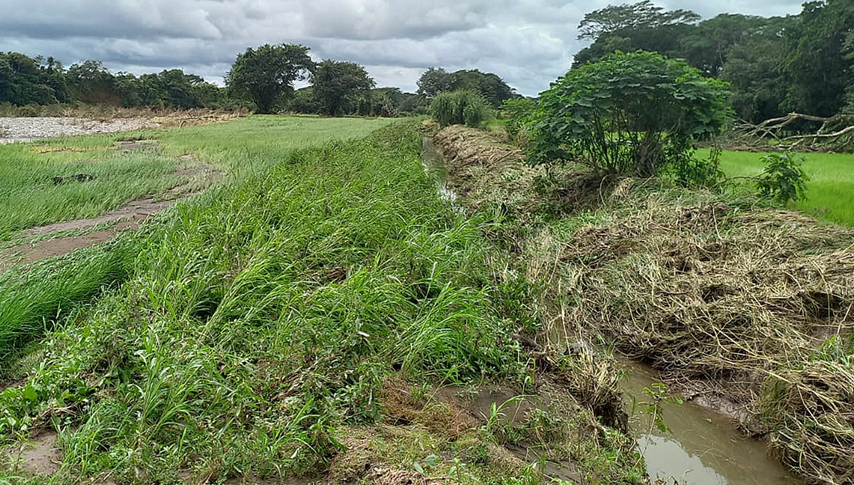 PANAMA EN DIRECTO - Apoyo financiero del BNP para agricultores: una respuesta ante el mal tiempo