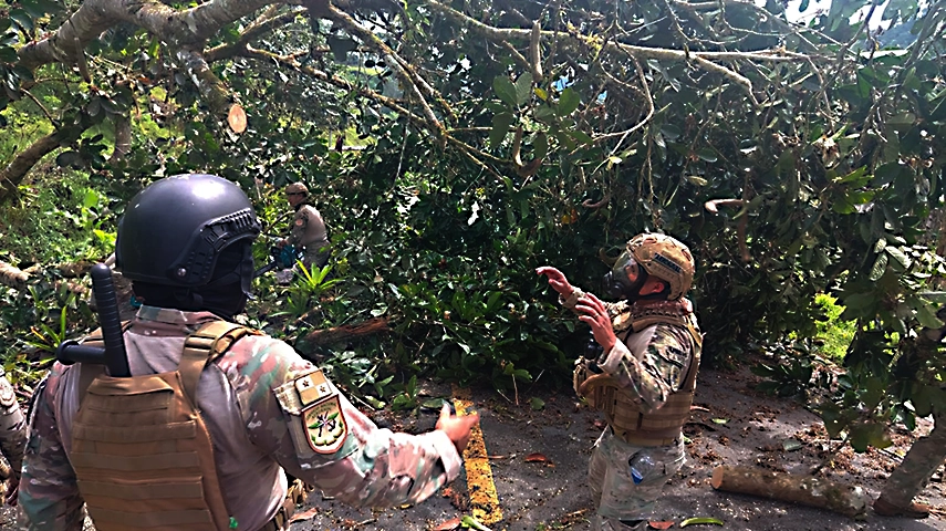 Featured image for “Siguen los bloqueos en Bocas del Toro pese a intervención policial”