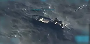 Panamá en Directo | “Trump anuncia muerte de tres “narcoterroristas” venezolanos en un ataque del Comando Sur”