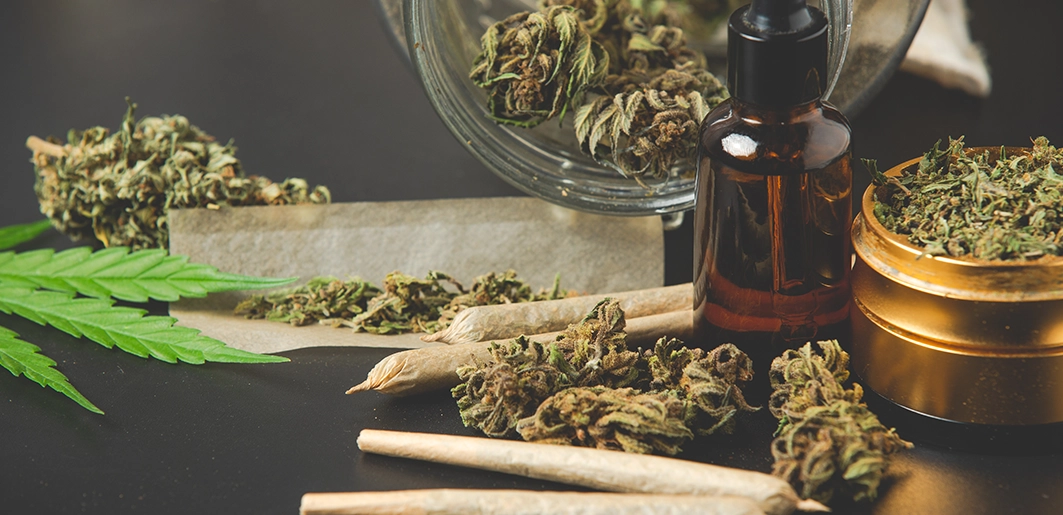 PANAMA EN DIRECTO - El Minsa incluye el cannabis en la lista de sustancias controladas con fines médicos