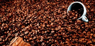 Panamá en Directo | “Gobierno extiende la regulación del café para proteger la producción nacional”