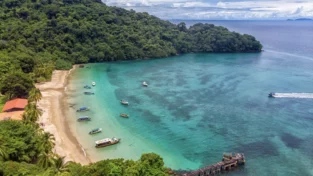 Panamá en Directo | “Puerto Barú defiende su proyecto y descarta afectaciones al Parque Nacional Coiba”